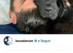 Enlace a Isco sube una foto echando la siesta con su perro Messi y todos los comentarios dicen lo mismo