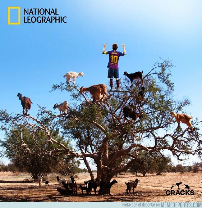 1065483 - El GOAT en la cima
