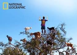 Enlace a El GOAT en la cima