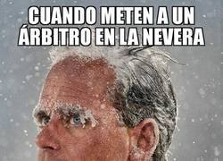 Enlace a Esto es lo que se ve por dentro de la nevera de los árbitros