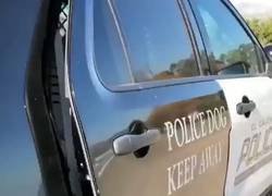 Enlace a El PSG cada año con nuevos fichajes cayendo en octavos