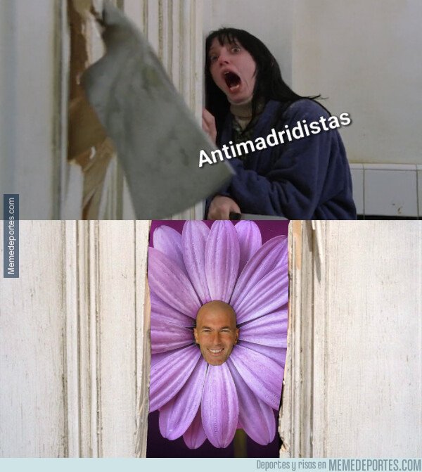 1067738 - ¡Cuidado, la flor está de vuelta!