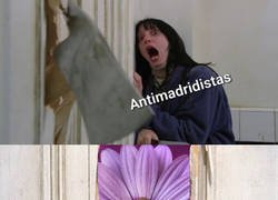 Enlace a ¡Cuidado, la flor está de vuelta!