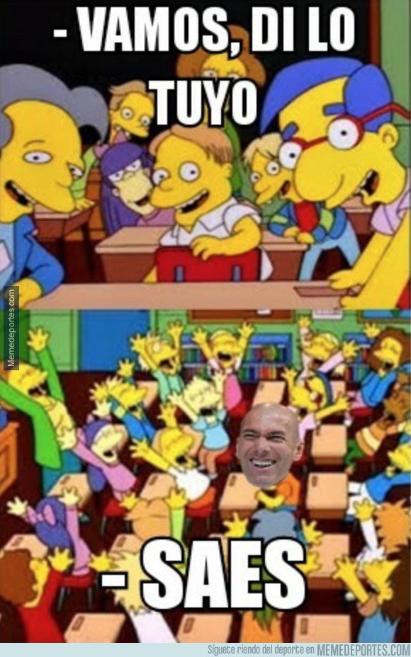 1067782 - Vuelve la Felizidane saes