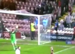 Enlace a ¿Qué mierda acabo de ver?