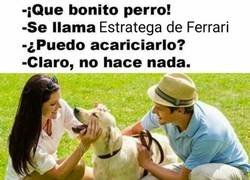 Enlace a Papelón de Ferrari para empezar la temporada