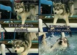 Enlace a ¿Qué ha pasado en Argentina?