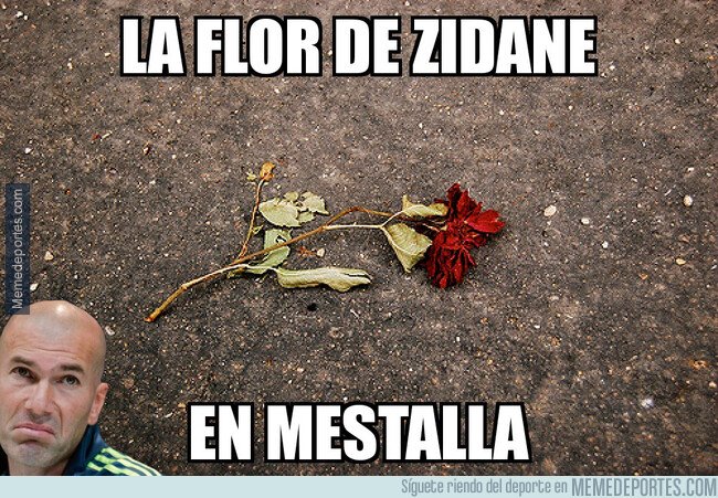 1070287 - La flor se marchitó en Valencia