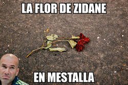 Enlace a La flor se marchitó en Valencia
