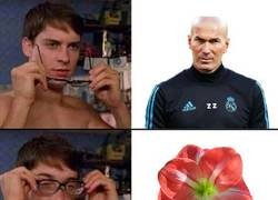 Enlace a Parecidos razonables