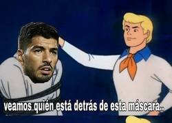 Enlace a Ha vuelto la rosca