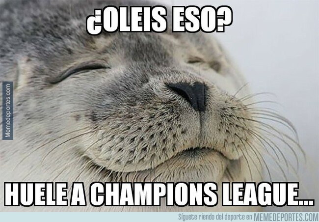 1070772 - ¡Vuelve la Champions!