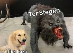 Enlace a El gran duelo de la portería acabó con un claro vencedor