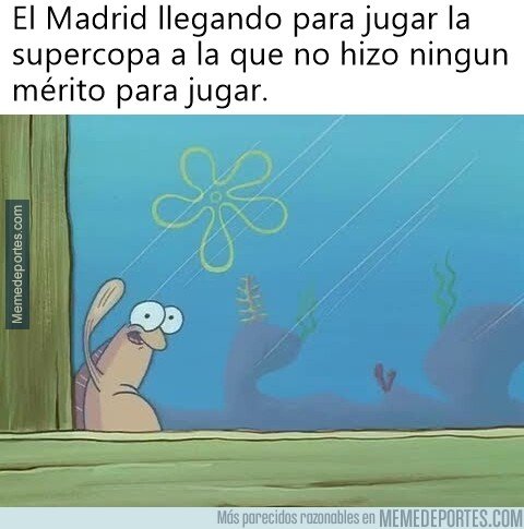 1072973 - No es que les metieran con calzador. Es que los embutieron en el torneo sin tacto ni excusas