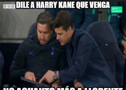 Enlace a Pochettino no lo entiende