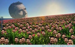 Enlace a Arreglao'. De nada