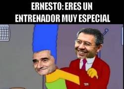 Enlace a Chaqueta especial