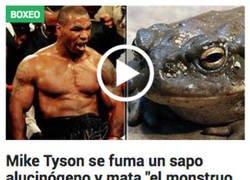 Enlace a Cada noticia que sale sobre Mike Tyson es más extraña que la anterior