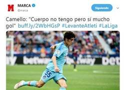 Enlace a El camello del gol