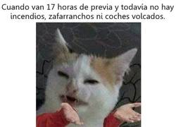 Enlace a No ha hecho efecto el alcohol todavía