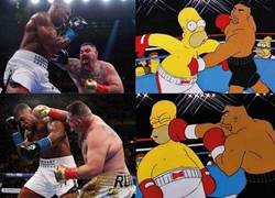 Enlace a Ellas los prefieren muy muy gordos