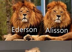 Enlace a Los porteros de Brasil