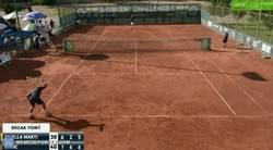 Enlace a Cuando intentas matar una cucaracha y se va volando