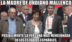 Enlace a Muy regia doña Mallenco.