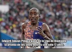 Enlace a De pronto en Kenya envejecen en años perro