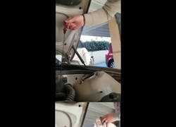 Enlace a Así me lo imagino