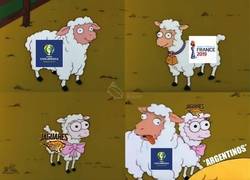 Enlace a Jaguares ganándose un espacio