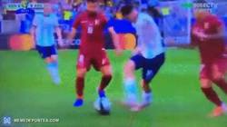 Enlace a Las habilidades defensivas de esta paloma son espectaculares