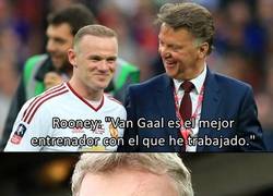 Enlace a A todos se nos ha venido a la mente al mismo hombre