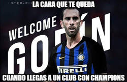 Enlace a Es tan linda y brillante