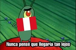 Enlace a Perú finalista