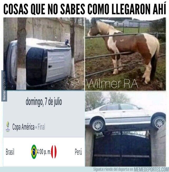 1080280 - Nunca sabremos como llegó allí