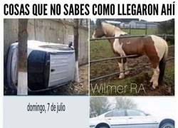 Enlace a Nunca sabremos como llegó allí