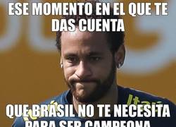 Enlace a La realidad con frecuencia es decepcionante. Brasil campeona de la Copa América