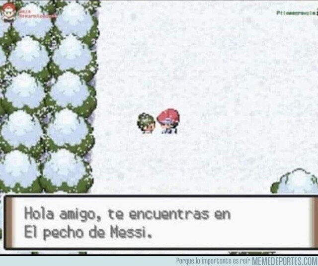 1081146 - Hasta Pokémon lo sabe