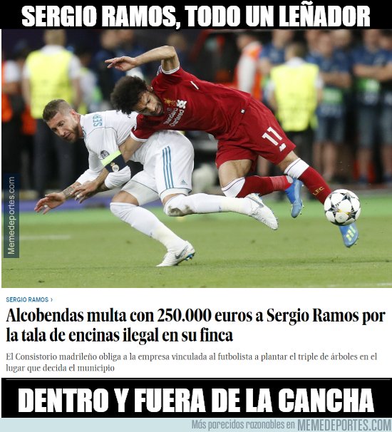 1081594 - Leñador dentro y fuera de la cancha