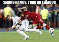 Enlace a Leñador dentro y fuera de la cancha