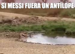 Enlace a Si Messi fuese un antílope, ¡menudo quiebro!