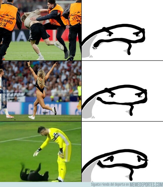 1081726 - Cómo reacciono ante los distintos invasores de campo