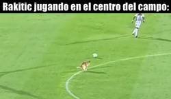 Enlace a Pero lo dejamos porque se ve tierno