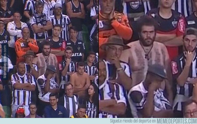 1082483 - Si no hay para comprar la camiseta, aprovecha que eres velludo.