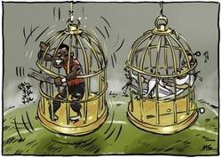 Enlace a La jaula de oro es tan cómoda para unos como incómoda para otros, por @yesnocse