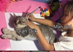 Enlace a Ni siquiera tiene los rizos