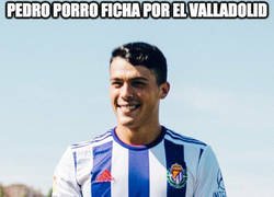 Enlace a Va a ir morado por completo