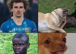 Enlace a Hay jugadores que no tratamos igual porque no podemos