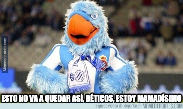 1083478 - Los pericos están cabreados con el Betis